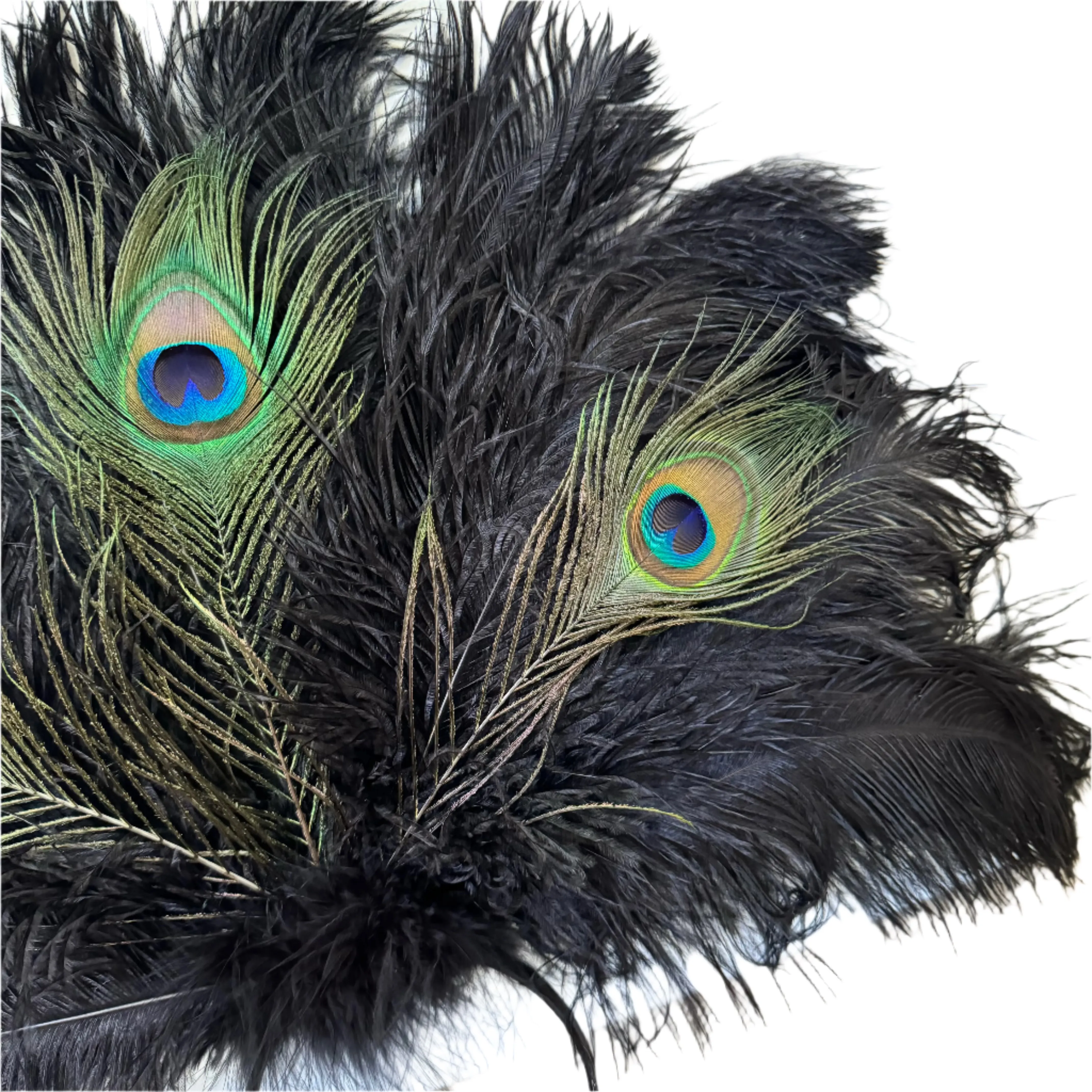 Natural Peacock & Ostrich Feather Drab Carnival Showgirl Costume Headdress - Black