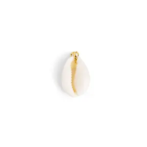 Seashell Natural Charm